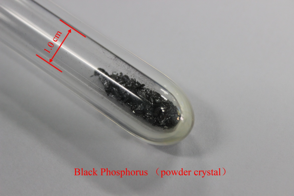 巨纳黑磷晶体（1000mg）