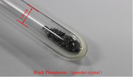 黑磷粉末（200mg）