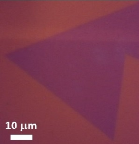 CVD单层二硫化钨薄膜 WS₂(Tungsten Disulfide)-CVD Monolayer