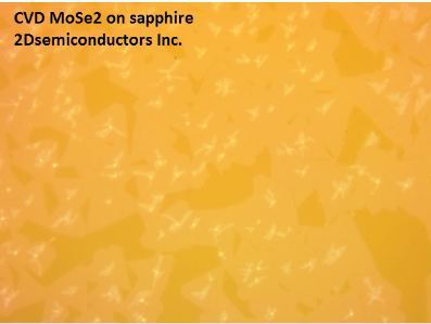CVD单层二硒化钼薄膜 MoSe2(Molybdenum Selenide)-CVD Monolayer